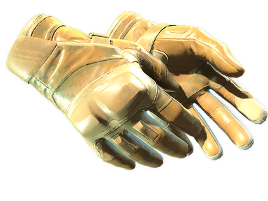 Moto Gloves | Transport