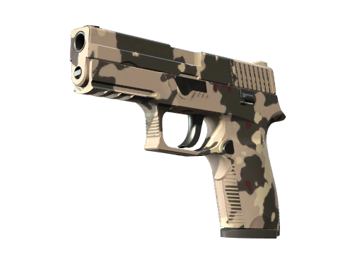P250 | Black & Tan (Battle-Scarred)