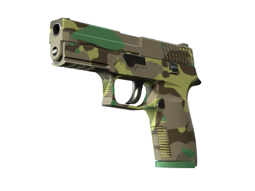 P250 | Boreal Forest (Battle-Scarred)