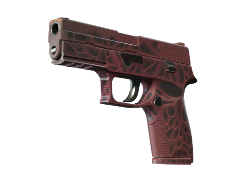 P250 | Contaminant (Battle-Scarred)