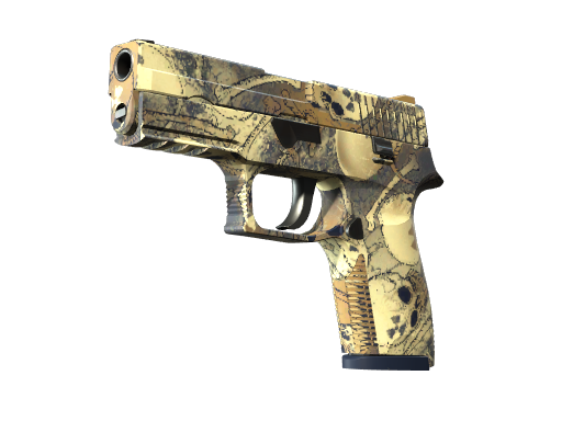 P250 | Contamination (Battle-Scarred)
