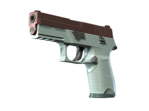 P250 | Copper Oxide (Battle-Scarred)
