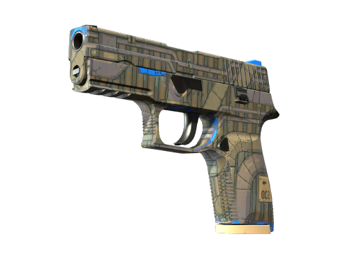 P250 | Exchanger (Battle-Scarred)