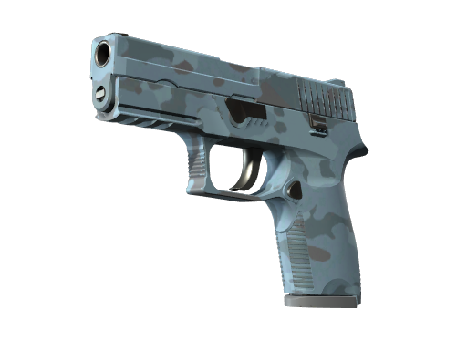P250 | Forest Night (Battle-Scarred)