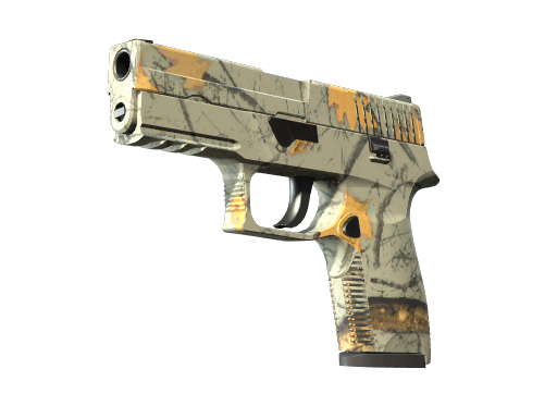 P250 | Modern Hunter (Battle-Scarred)