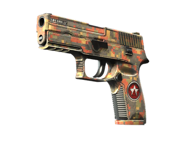 P250 | Red Rock