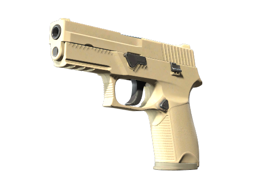 P250 | Sand Dune (Battle-Scarred)