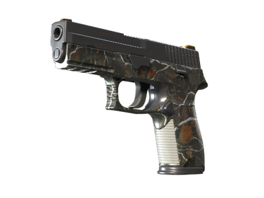 P250 | Small Game