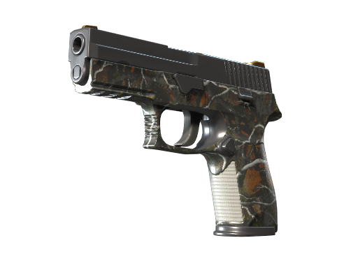 P250 | Small Game (Battle-Scarred)