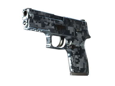 P250 | Steel Disruption