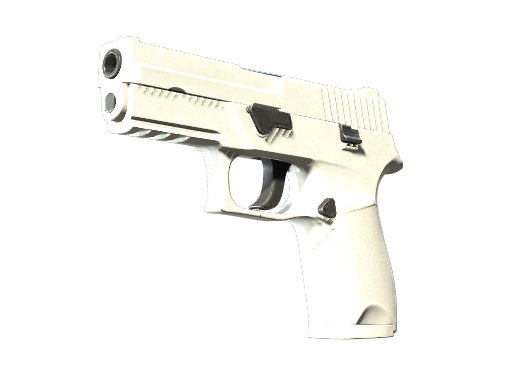 P250 | Whiteout (Battle-Scarred)