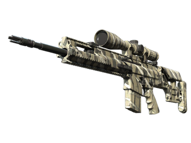 SCAR-20 | Torn