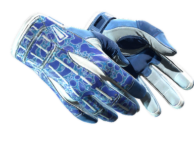 Sport Gloves | Amphibious