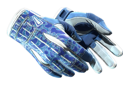 ★ Sport Gloves | Amphibious (Battle-Scarred)