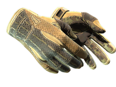 Sport Gloves | Arid