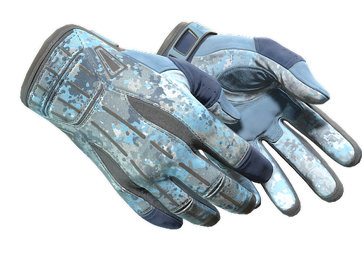 ★ Sport Gloves | Frosty (Factory New)