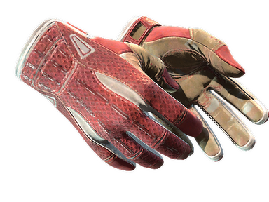 Sport Gloves | Slingshot