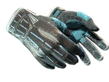 Sport Gloves | Superconductor
