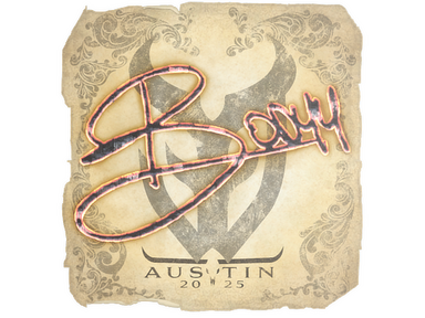 Sticker | bodyy | Austin 2025