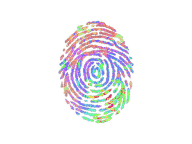 Sticker | Evidence (Holo)