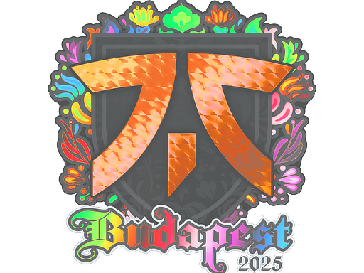 Sticker | fnatic (Holo) | Budapest 2025