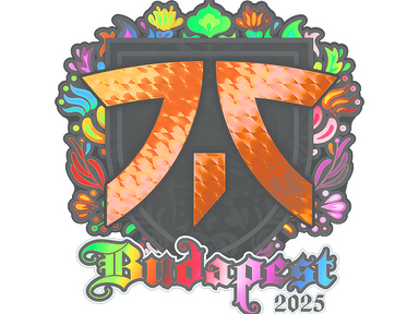 Sticker | fnatic (Holo) | Budapest 2025