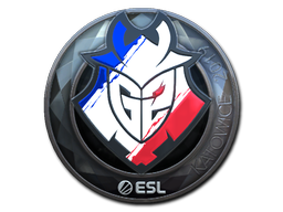Sticker | G2 Esports (Foil) | Katowice 2019