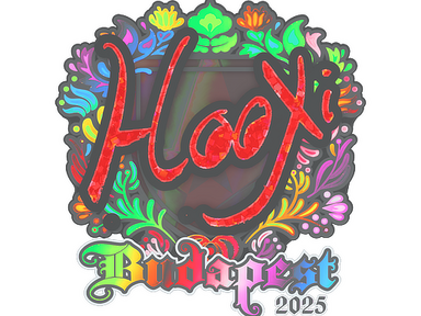 Sticker | HooXi (Holo) | Budapest 2025