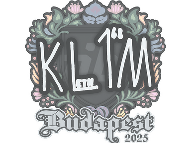 Sticker | kl1m | Budapest 2025
