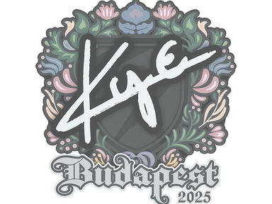 Sticker | kye | Budapest 2025