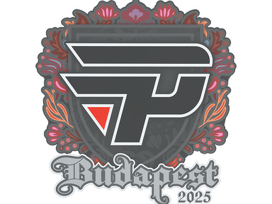 Sticker | paiN Gaming | Budapest 2025