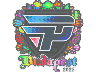 Sticker | paiN Gaming (Holo) | Budapest 2025