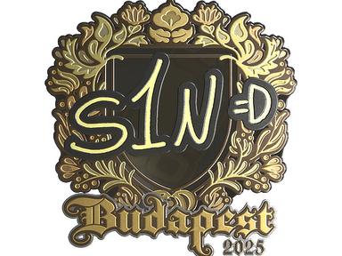 Sticker | s1n (Gold) | Budapest 2025