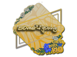 Sticker | sdy | Rio 2022