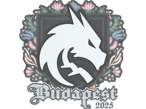 Sticker | Team Spirit | Budapest 2025