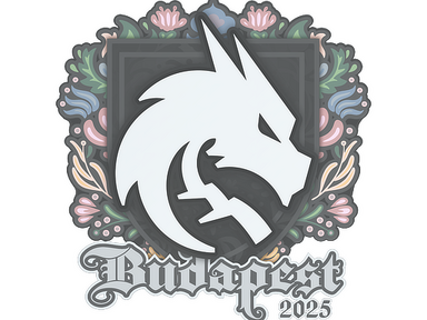 Sticker | Team Spirit | Budapest 2025