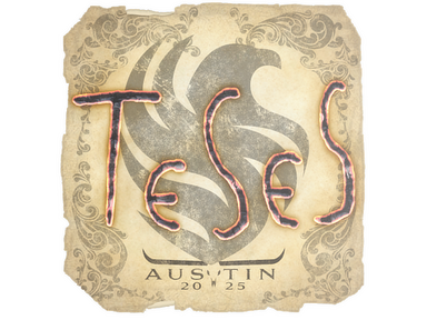 Sticker | TeSeS | Austin 2025