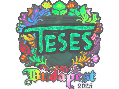 Sticker | TeSeS (Holo) | Budapest 2025