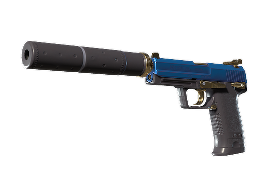 USP-S | Royal Guard (Battle-Scarred)