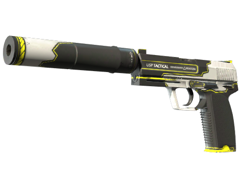 USP-S | Torque (Battle-Scarred)